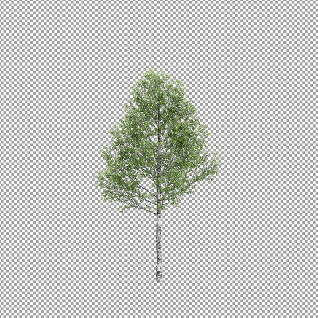 Mooie plant in 3D-rendering geïsoleerd