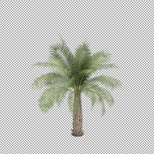 Mooie plant in 3D rendering geïsoleerd