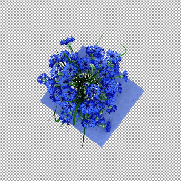 Mooie plant in 3D rendering geïsoleerd