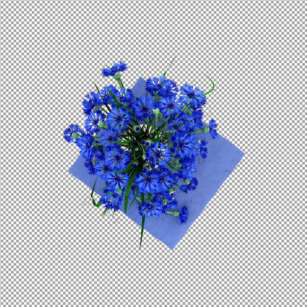 Mooie plant in 3d-rendering geïsoleerd