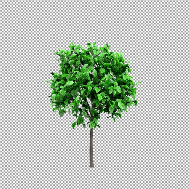 Mooie plant in 3d-rendering geïsoleerd