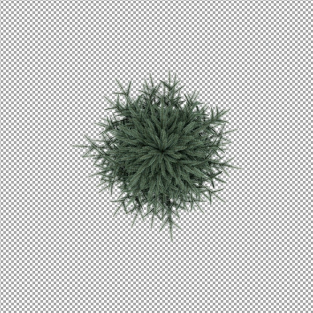 Mooie plant in 3d-rendering geïsoleerd