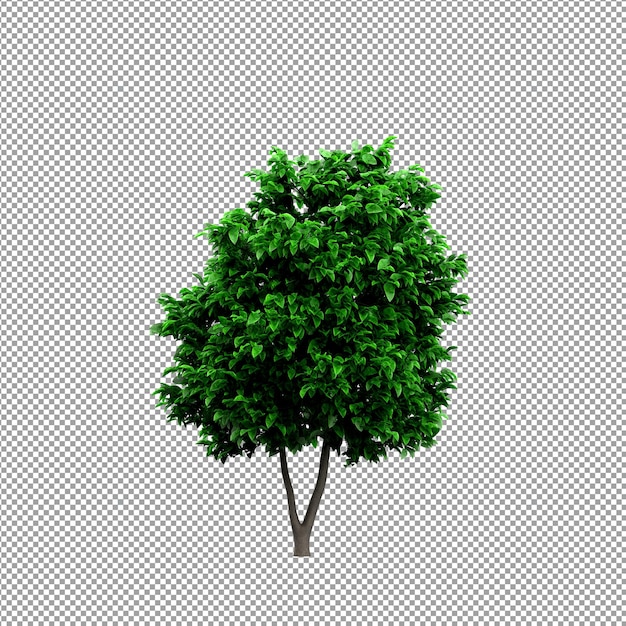 Mooie plant in 3D-rendering geïsoleerd