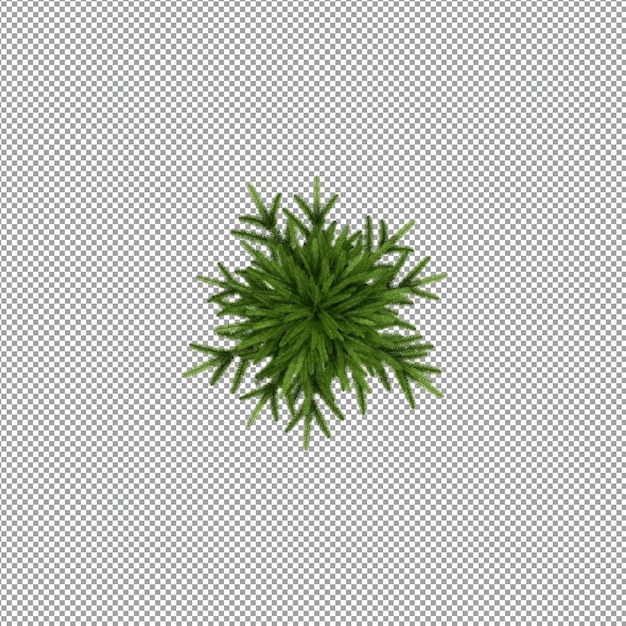 Mooie plant in 3D-rendering geïsoleerd