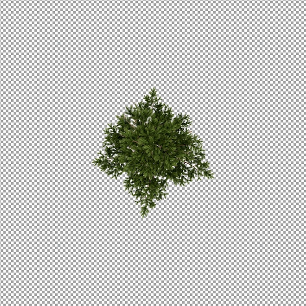Mooie plant in 3D rendering geïsoleerd