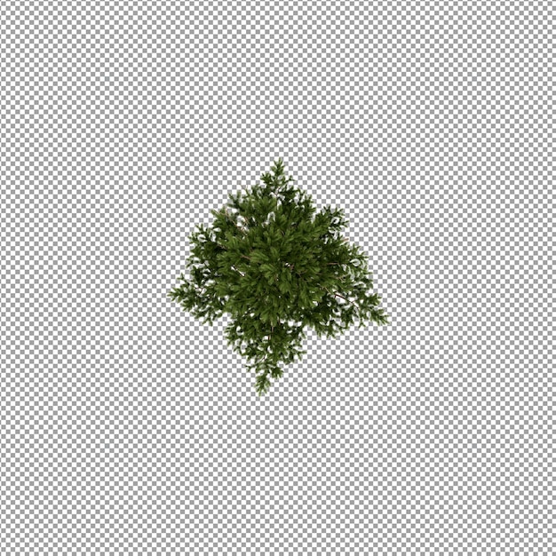 Mooie plant in 3d-rendering geïsoleerd