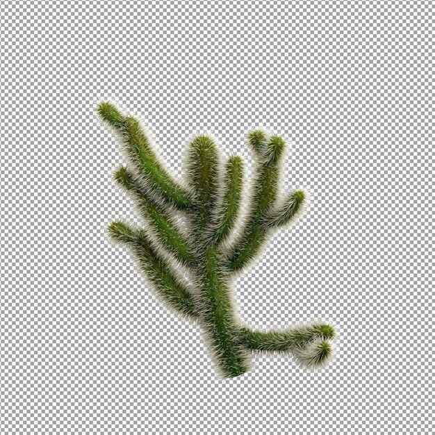 Mooie plant in 3D rendering geïsoleerd