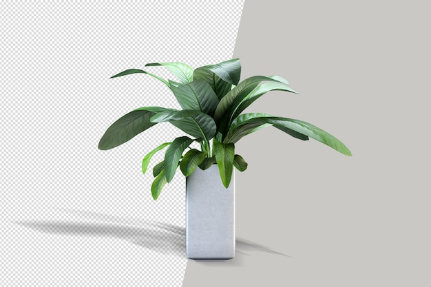 Mooie potplant in 3d-rendering geïsoleerd