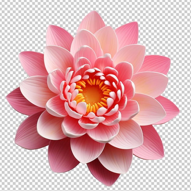 PSD mooie roze lotusbloem geïsoleerd op een doorzichtige achtergrond