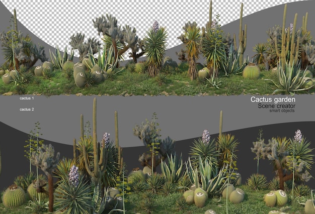Mooie verscheidenheid aan cactustuin