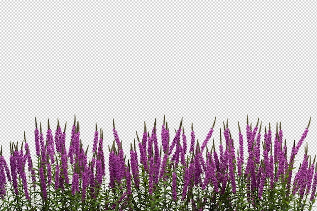 PSD mooie verschillende soorten bloemen in 3d-rendering geïsoleerd