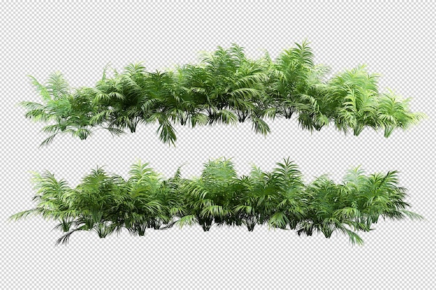 Mooie verschillende soorten bloemen in 3D-rendering geïsoleerd