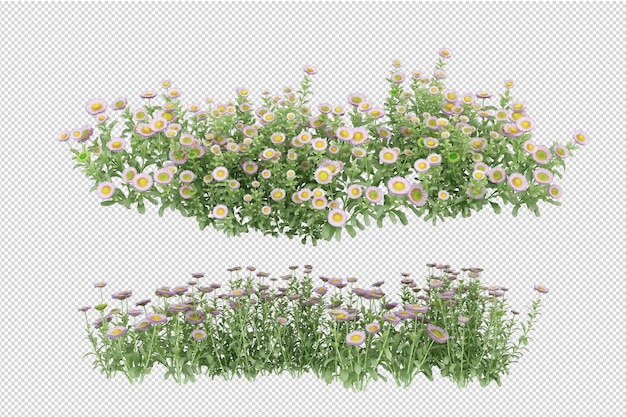 Mooie verschillende soorten bloemen in 3d-rendering geïsoleerd