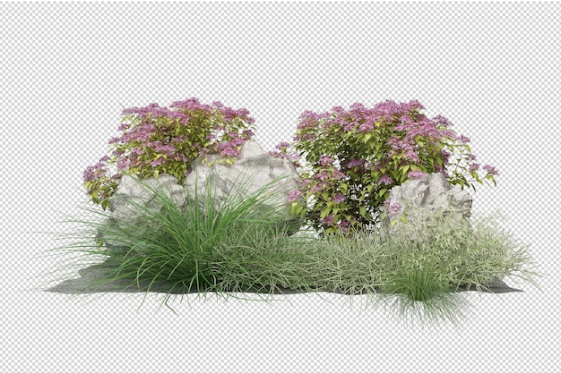 Mooie verschillende soorten bloemen in 3d-rendering geïsoleerd