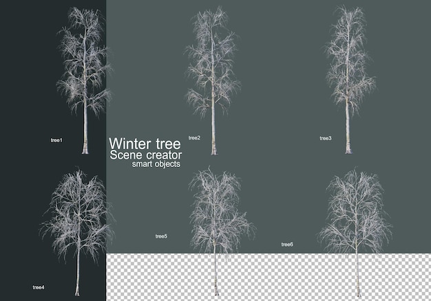PSD mooie verschillende winterbomen geïsoleerd