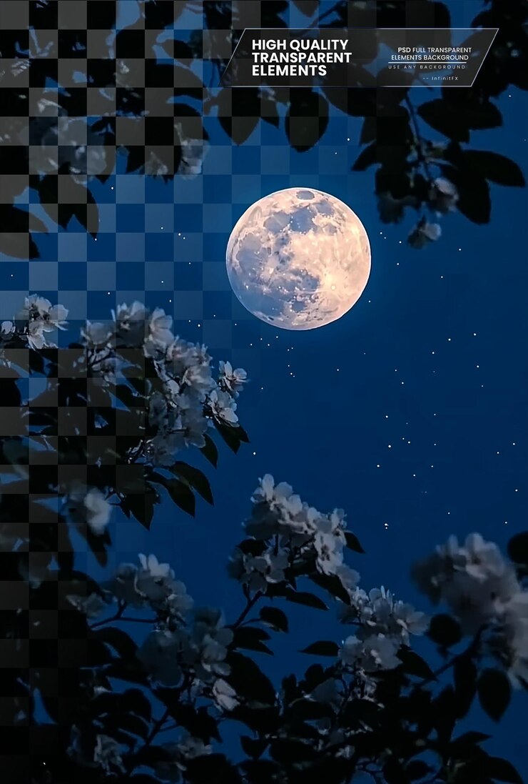 PSD the moon hangs in the sky surrounded by white on transparent background