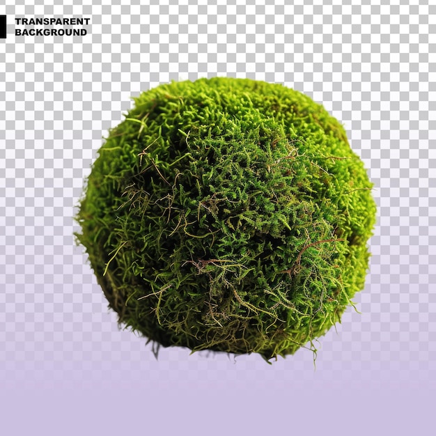 PSD moss ball on transparent background