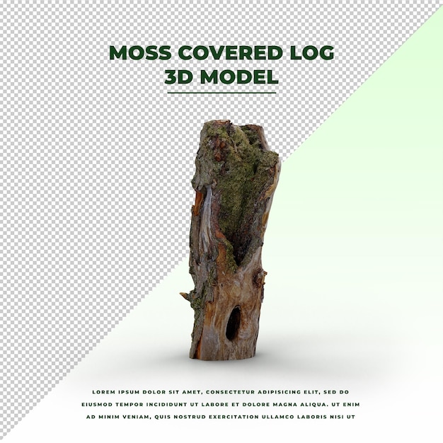 Moss Covered Log