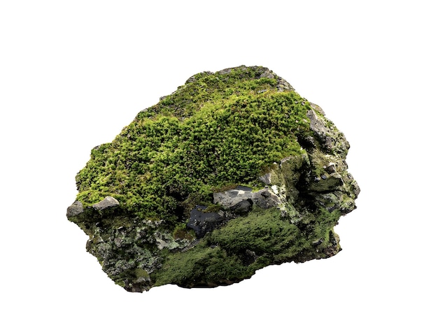 A moss covered rock with a transparent background