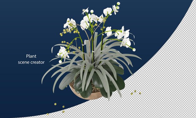 PSD moth orchid in pot for decoration rendering isolated