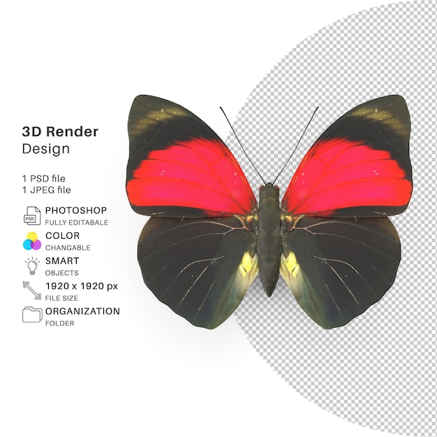 Motyl Modelowanie 3d Plik Psd Realistyczny Motyl