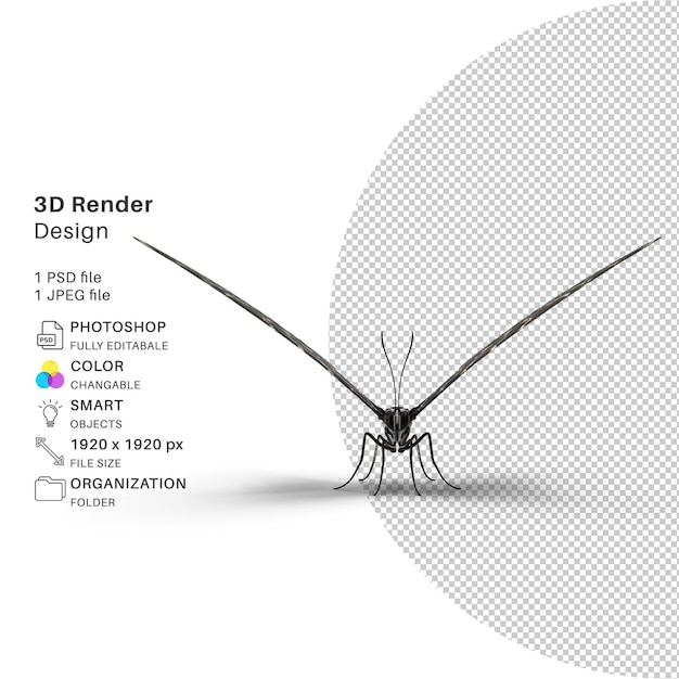 PSD motyl modelowanie 3d plik psd realistyczny motyl