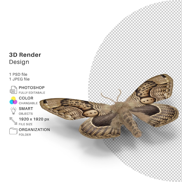 Motyl Modelowanie 3d Plik Psd Realistyczny Motyl