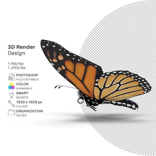Motyl Modelowanie 3D Plik PSD Realistyczny motyl