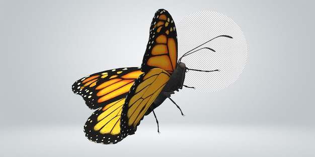 Motyl na przezroczystym tle