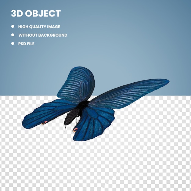 Motyl Papilio Protenor 3d