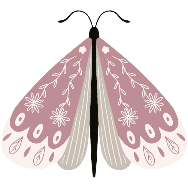 Motyl3