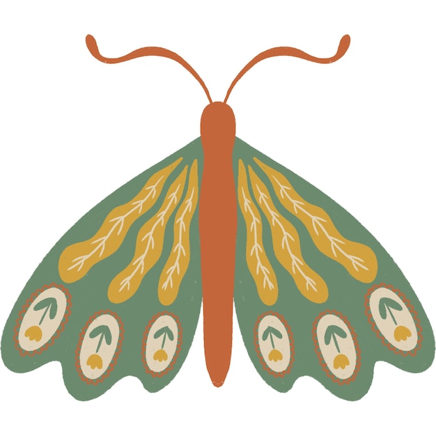 Motyl9