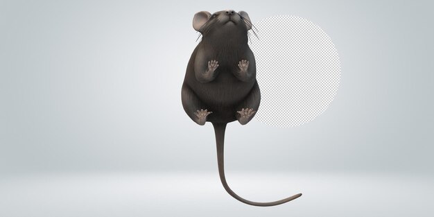 PSD Мышь изолирована на прозрачном фоне