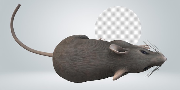 PSD mouse isolated on a transparent background