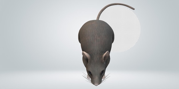 Mouse isolated on a transparent background