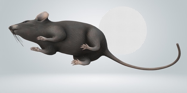 PSD mouse isolated on a transparent background