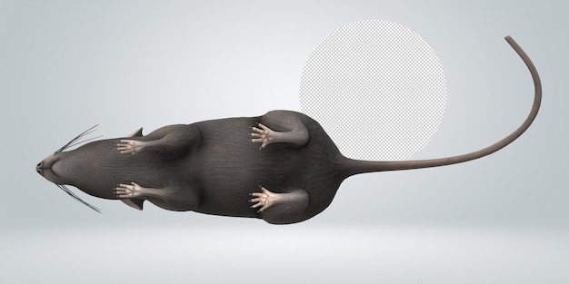 PSD mouse isolated on a transparent background