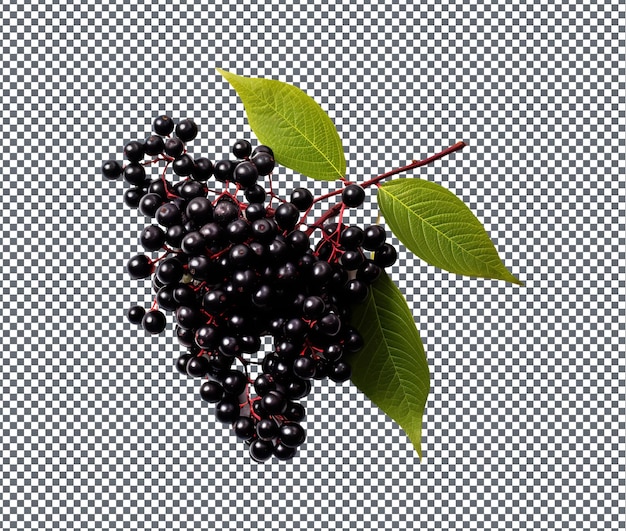 PSD mouth watering elderberry isolated on transparent background