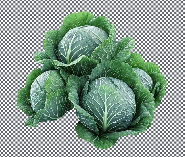 PSD mouth watering and fresh cabbage clusters isolated on transparent background