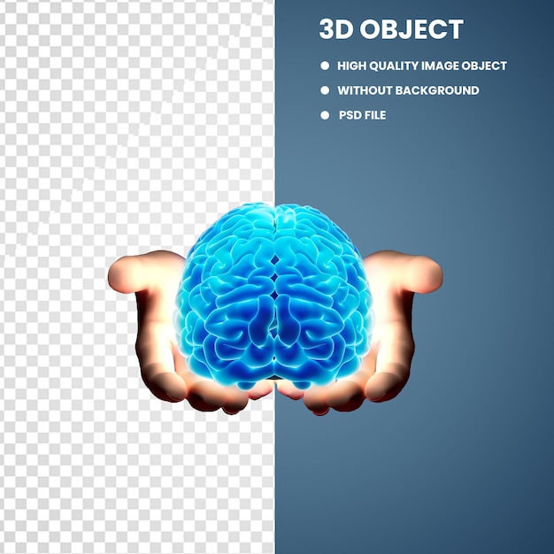 Mózg Neurologia Neurochirurgia Rdzeń kręgowy