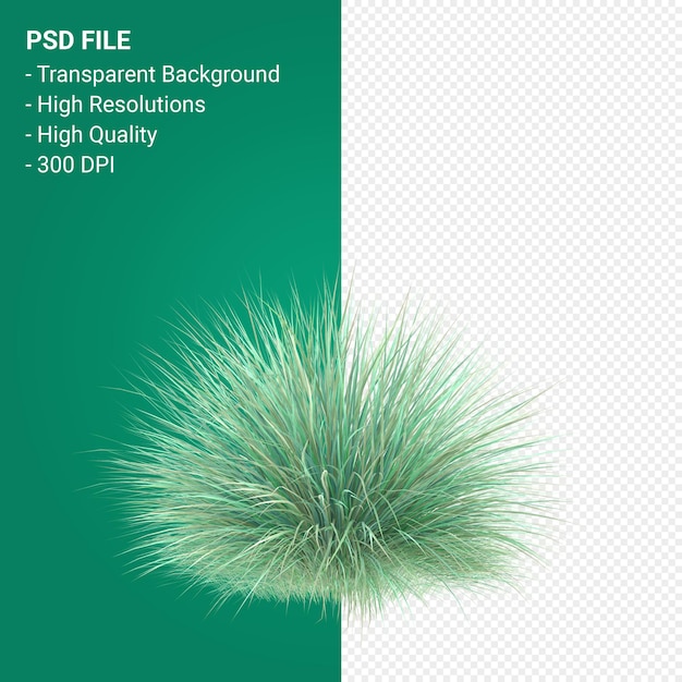 PSD Муленбергия риген дерево 3d визуализации изолированные
