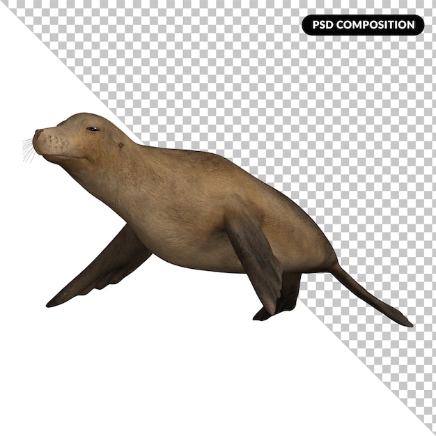 Mühür hayvanı izole 3d renderleme