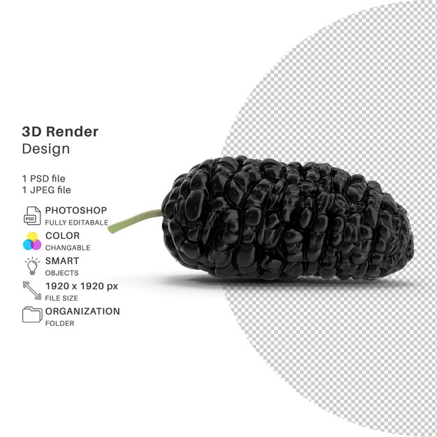 PSD 뽕나무 과일 블랙 3d 모델링 psd 파일 현실적인