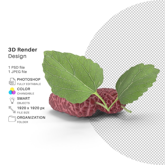 PSD frutta di gelso rosa con foglie frutta modellazione 3d file psd realistico