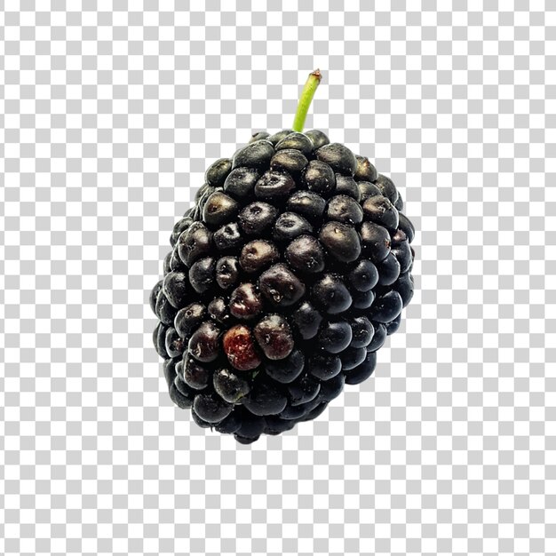 PSD mulberry isolated on a transparent background fresh blackberry