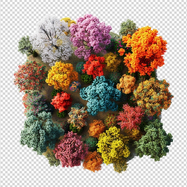 PSD multicolored flower arrangements