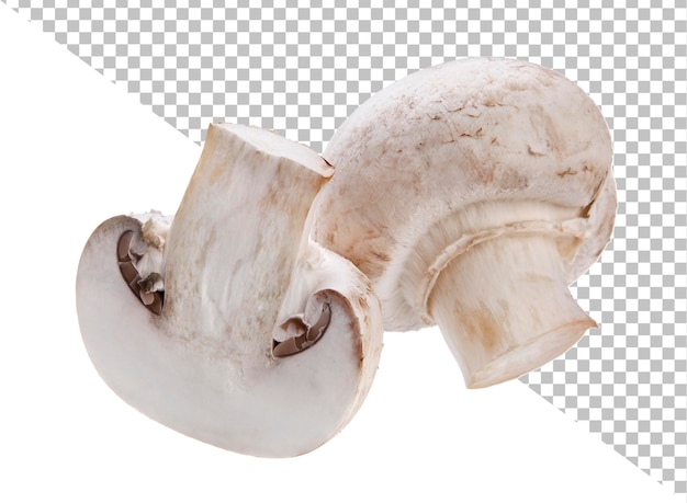 PSD mushroom champignon isolated