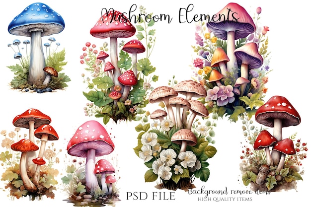 PSD mushroom clipart illustration