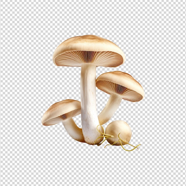 PSD クリッパート・マッシュルーム (mushroom clipart)