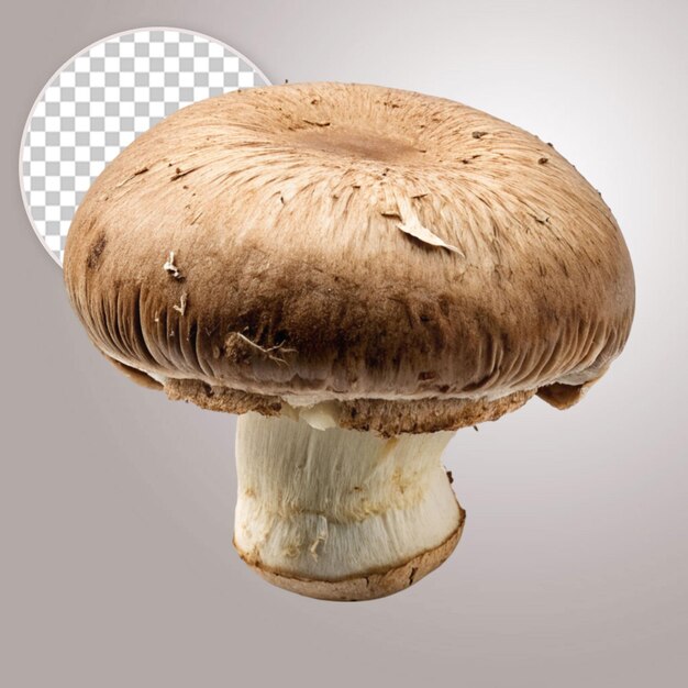 PSD mushroom isolated on transparent background